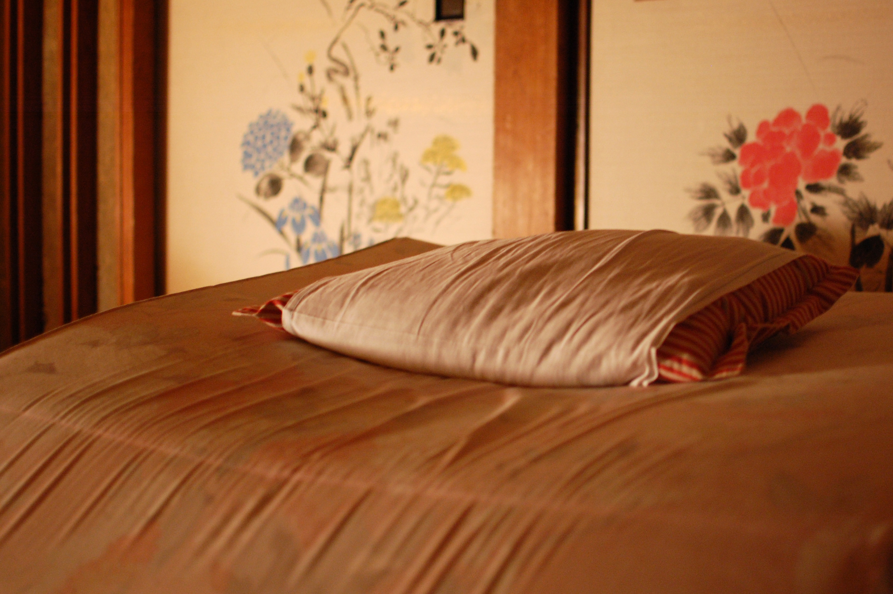 Nagano & Shibu Onsen